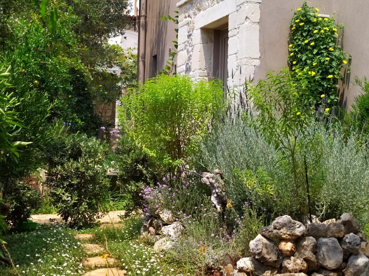 Olive Lemon Biophilic House & Lush Forest Garden Vámos Eksteriør billede