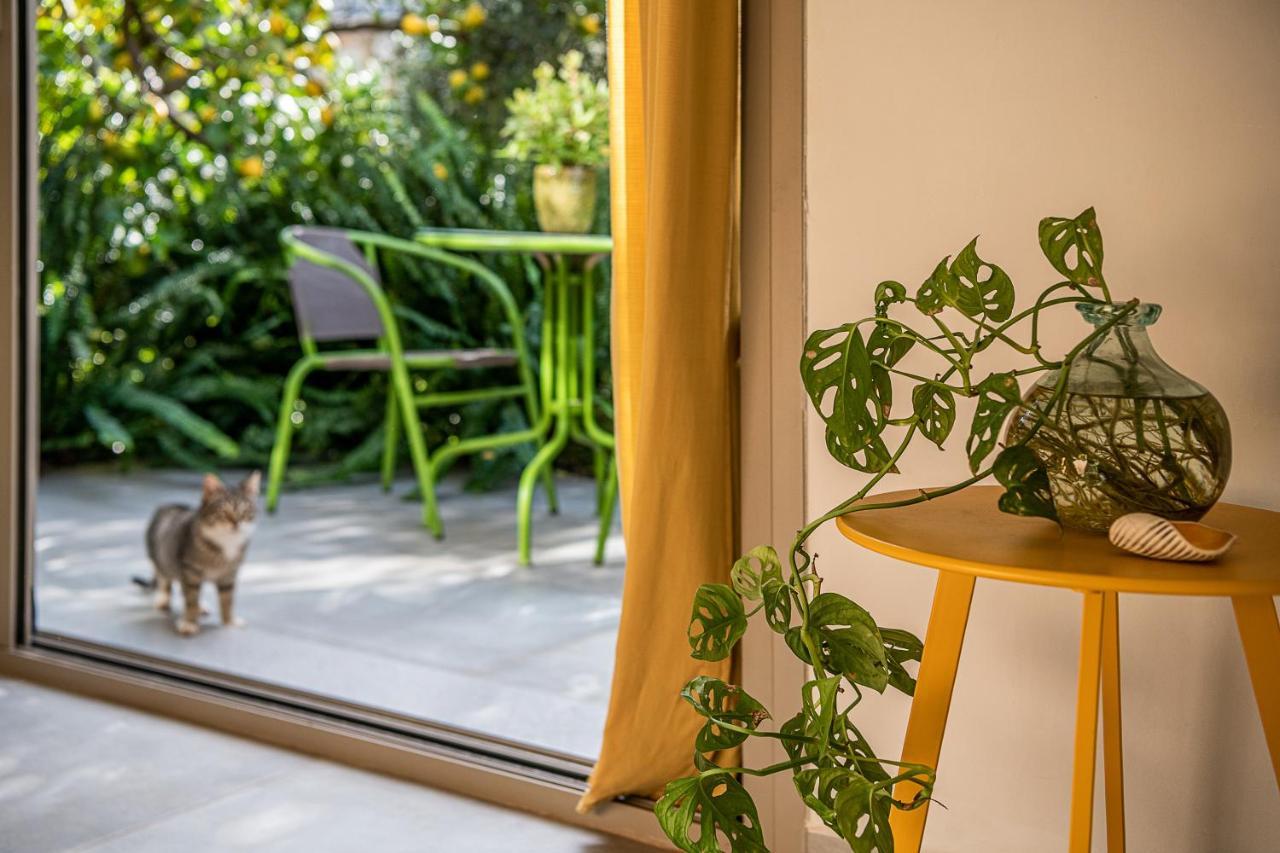 Olive Lemon Biophilic House & Lush Forest Garden Vámos Eksteriør billede