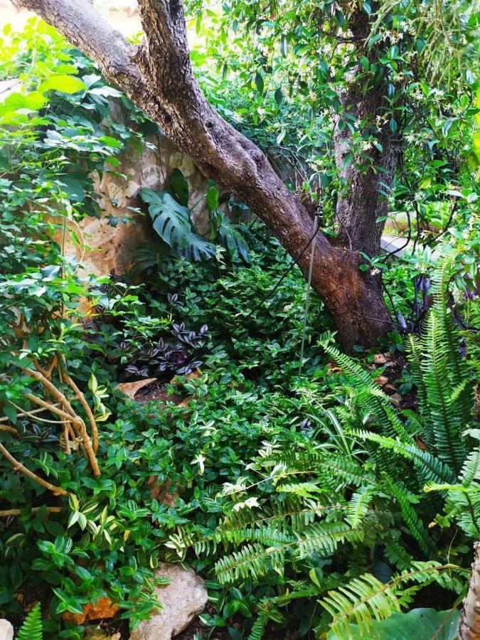 Olive Lemon Biophilic House & Lush Forest Garden Vámos Eksteriør billede
