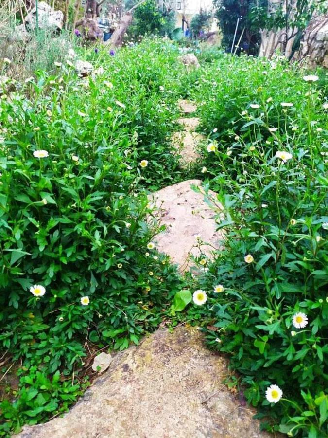 Olive Lemon Biophilic House & Lush Forest Garden Vámos Eksteriør billede