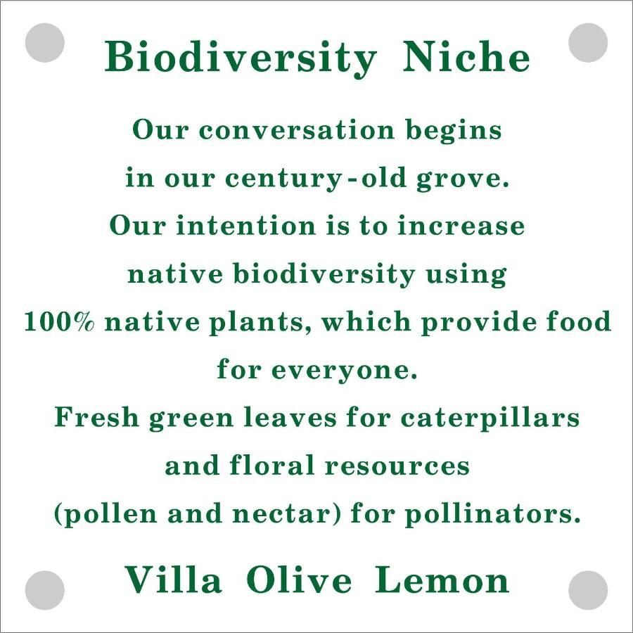 Olive Lemon Biophilic House & Lush Forest Garden Vámos Eksteriør billede
