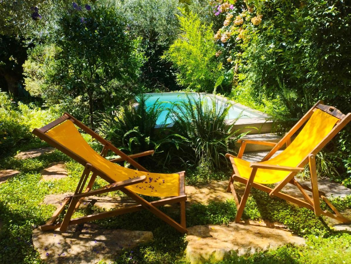 Olive Lemon Biophilic House & Lush Forest Garden Vámos Eksteriør billede