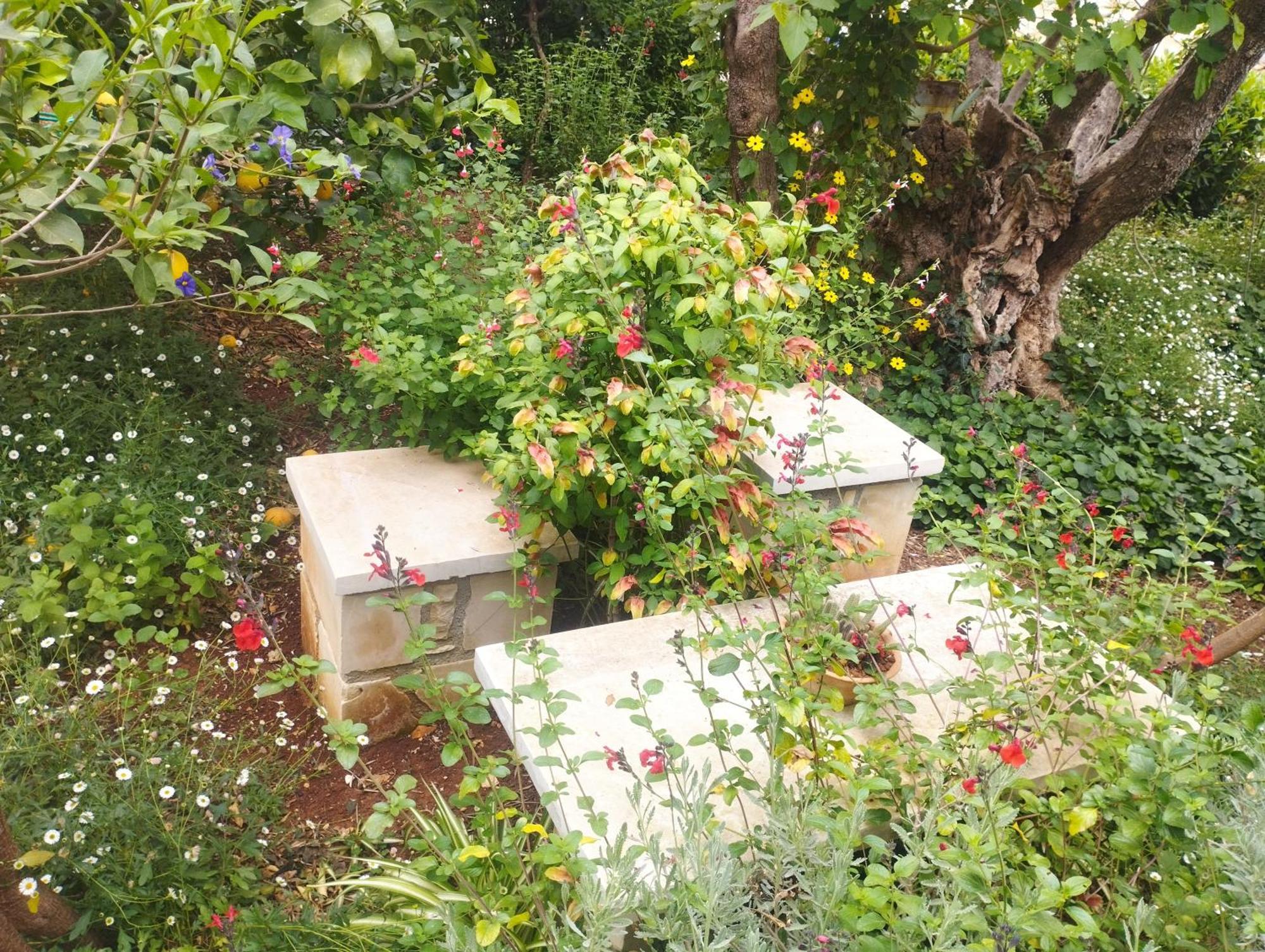 Olive Lemon Biophilic House & Lush Forest Garden Vámos Eksteriør billede