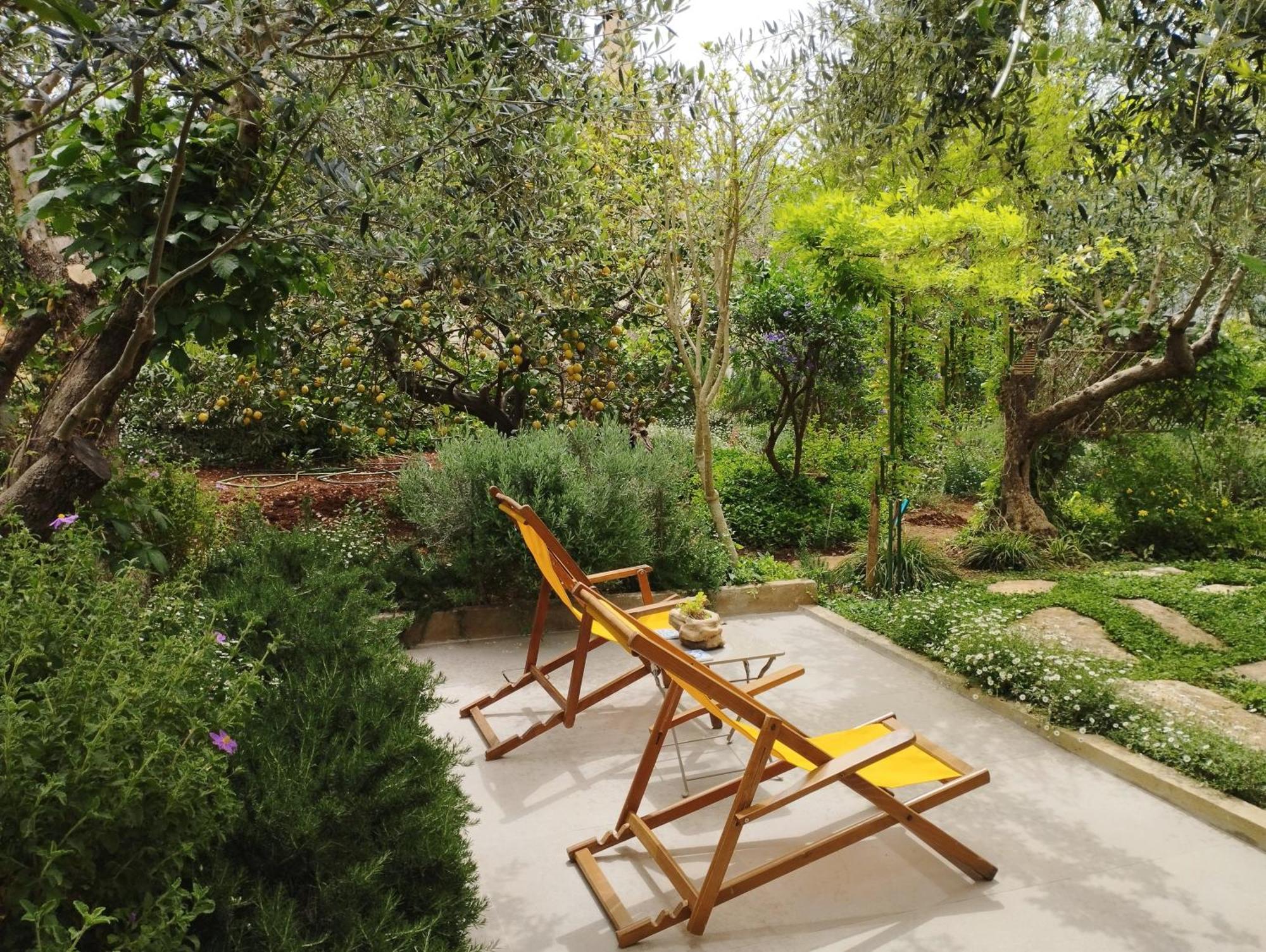 Olive Lemon Biophilic House & Lush Forest Garden Vámos Værelse billede