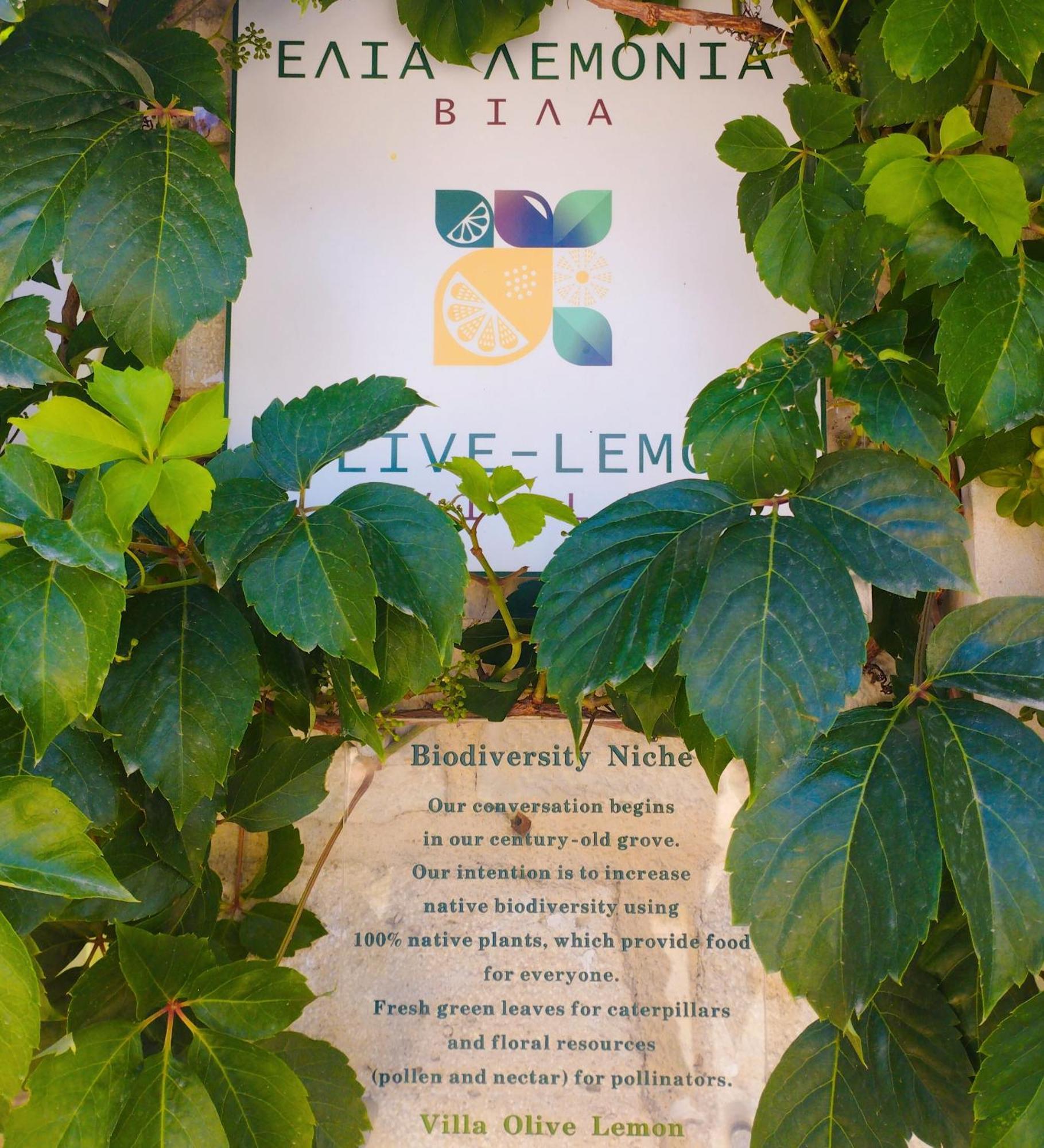Olive Lemon Biophilic House & Lush Forest Garden Vámos Værelse billede